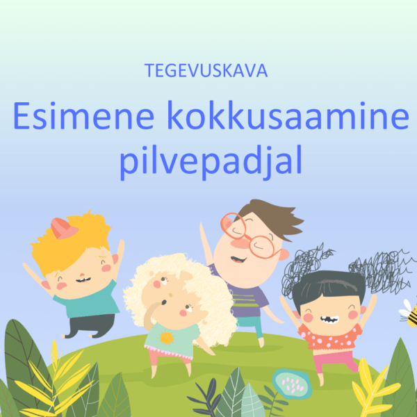 Tegevuskava. Esimene kokkusaamine pilvepadjal